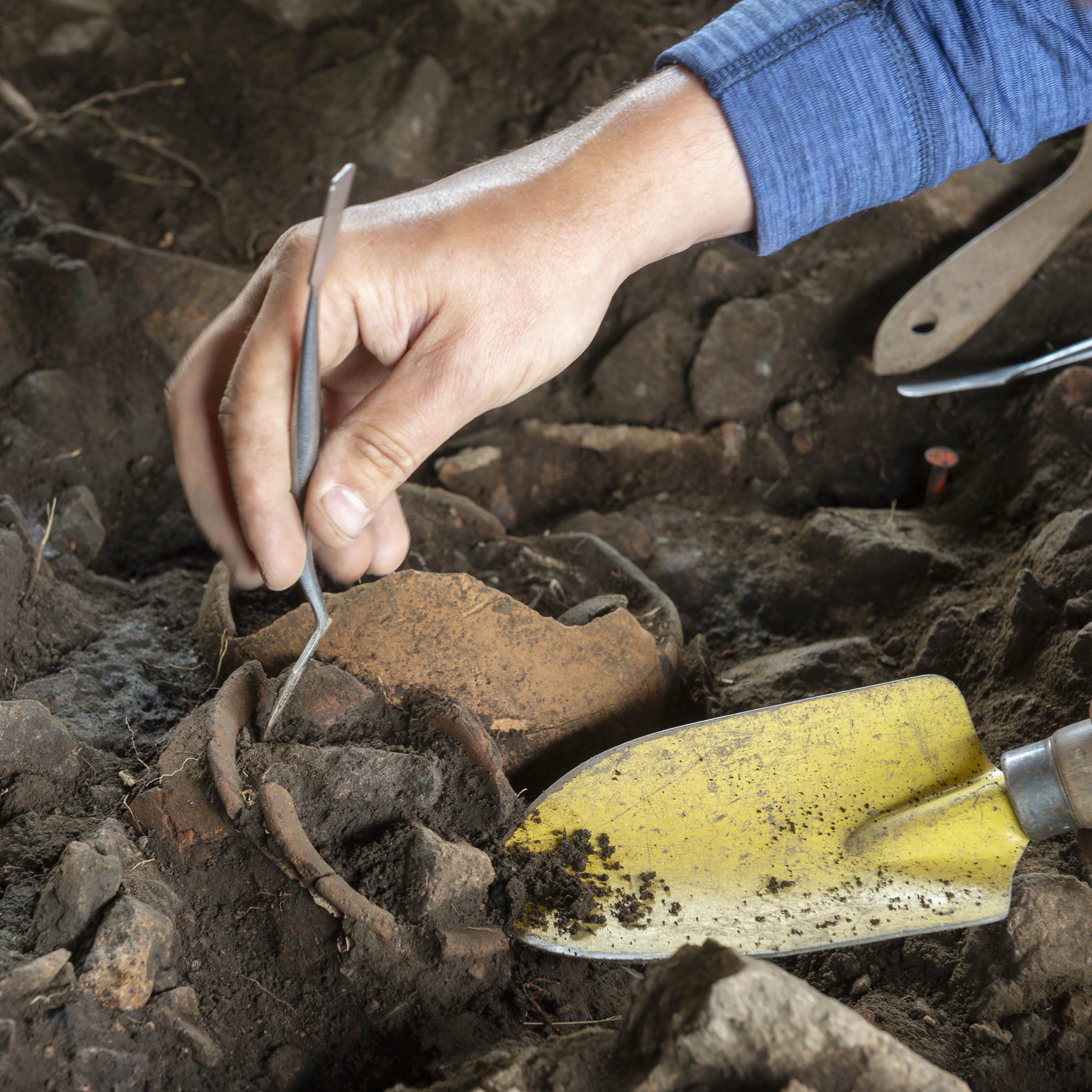 Fouille archeologique SIAMOIS